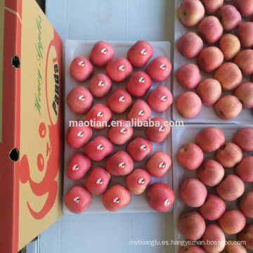 Tamaños medianos de manzana fuji roja fresca